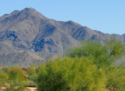 Neighborhood Image 9